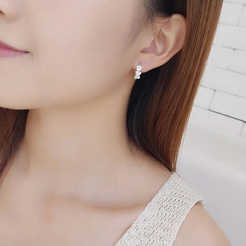 Clous Fleur Zircon
